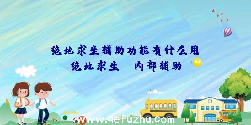 「绝地求生辅助功能有什么用」|绝地求生fl内部辅助